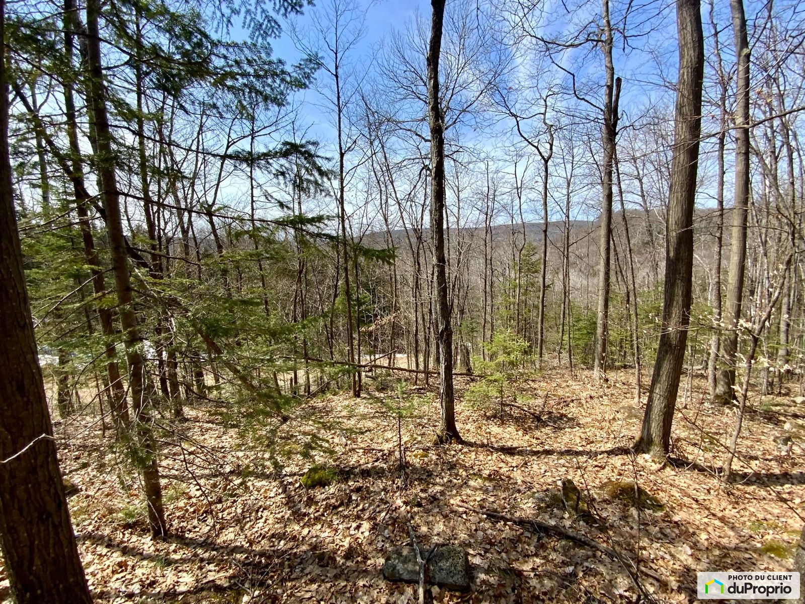 1231 Chemin De La Montagne — photo 1