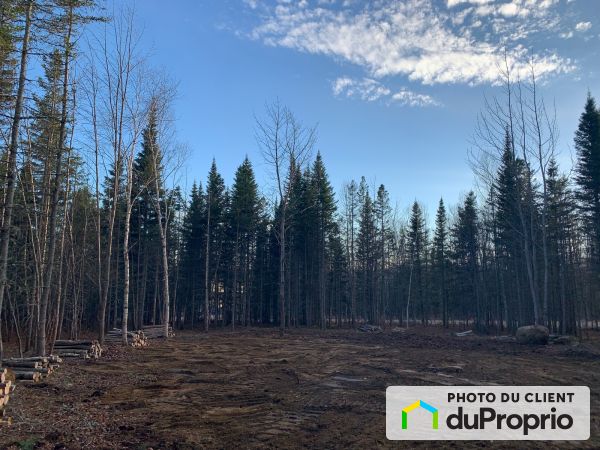  chemin du Hameau, Petite-Rivière-St-François for sale