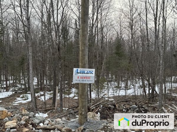 , chemin des Terrasses, L&#39;Ange-Gardien-Outaouais à vendre