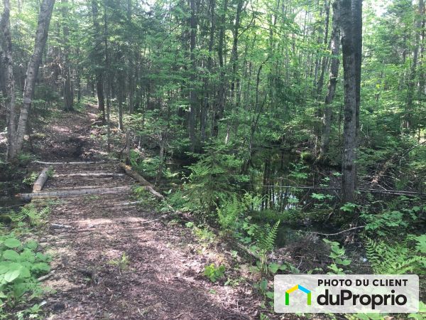 chemin du Bois-Blanc, St-Didace for sale