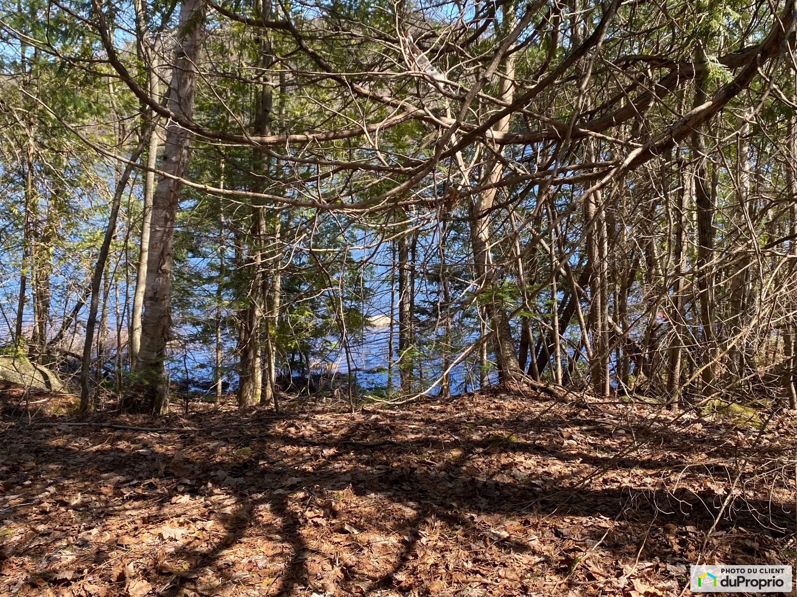 Nd Chemin Du Lac Saint Louis — photo 3