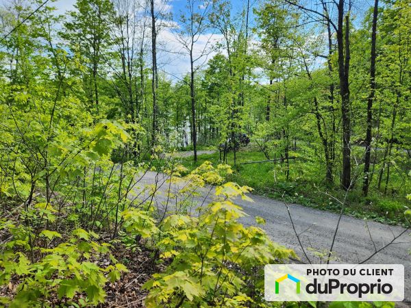 17 chemin du Lac-Bois-Franc, Val-Des-Monts (St-Pierre-de-Wakefield) for sale