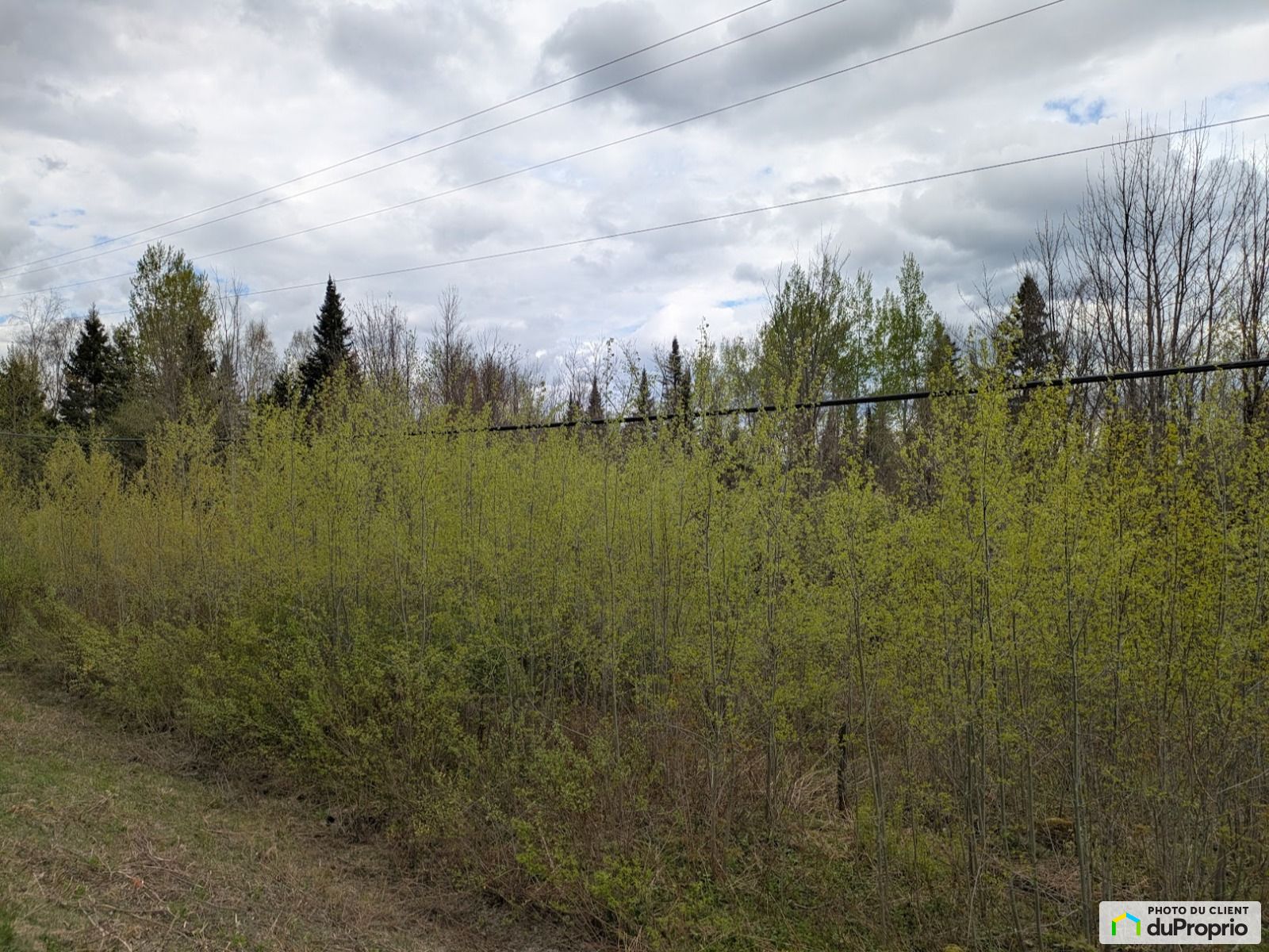 Route 214 — photo 1