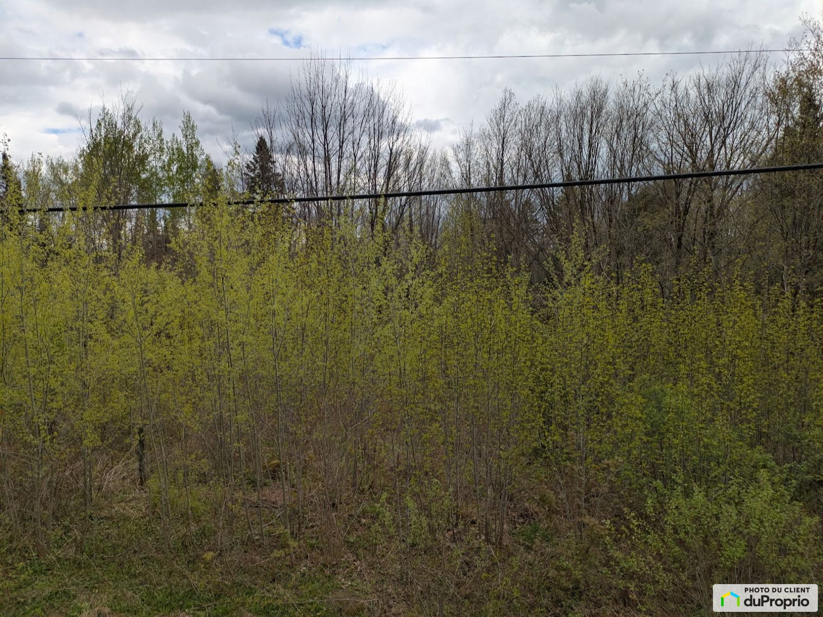 Route 214 — photo 3