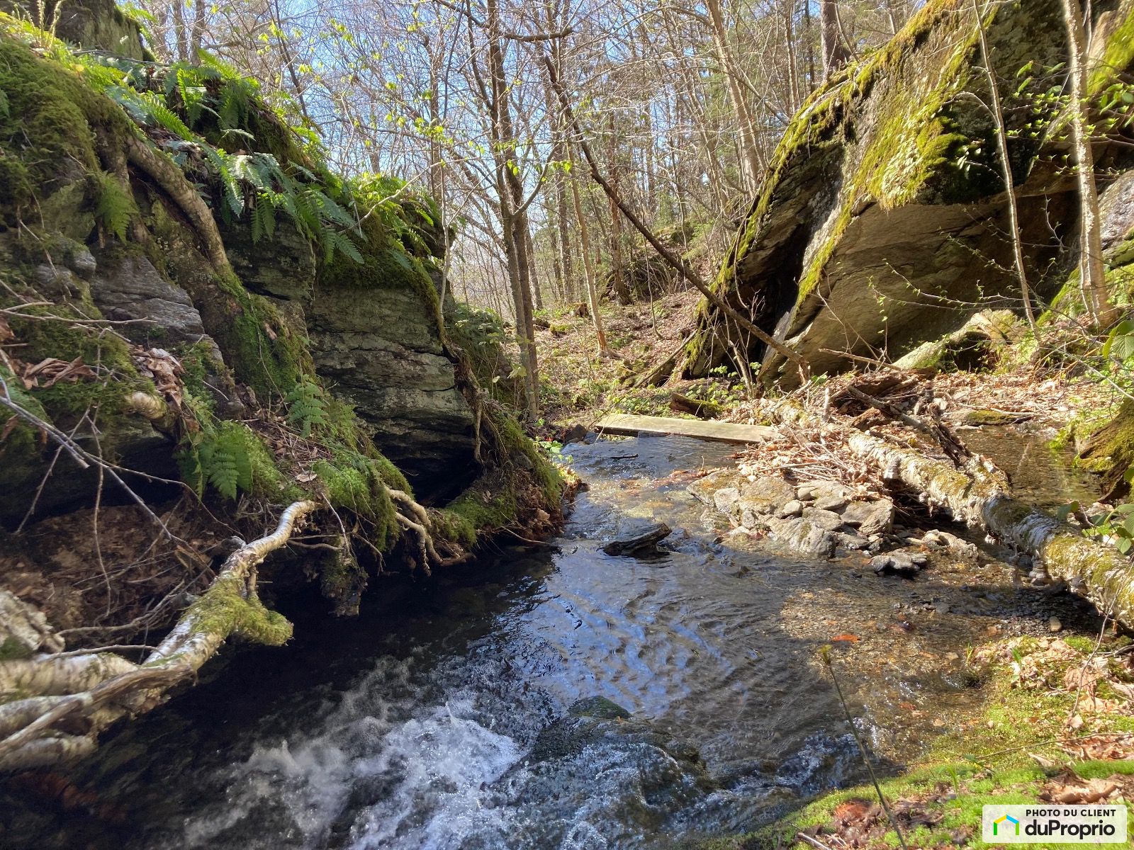 Chemin Des Montagnes Vertes — photo 2