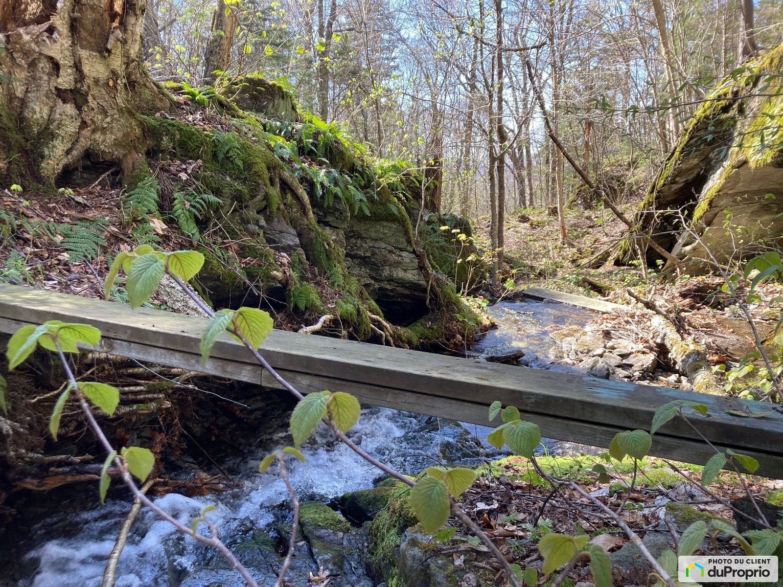 Chemin Des Montagnes Vertes — photo 3