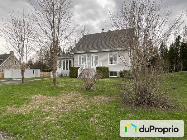 487, grande rue du Lac, St-Nérée à vendre