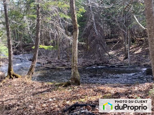 7, rue de la Nature, Lac Frontière à vendre