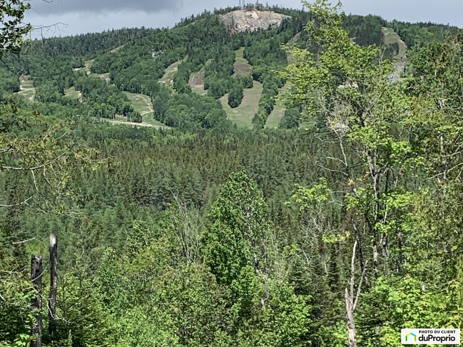 Chemin Du Faon — photo 1