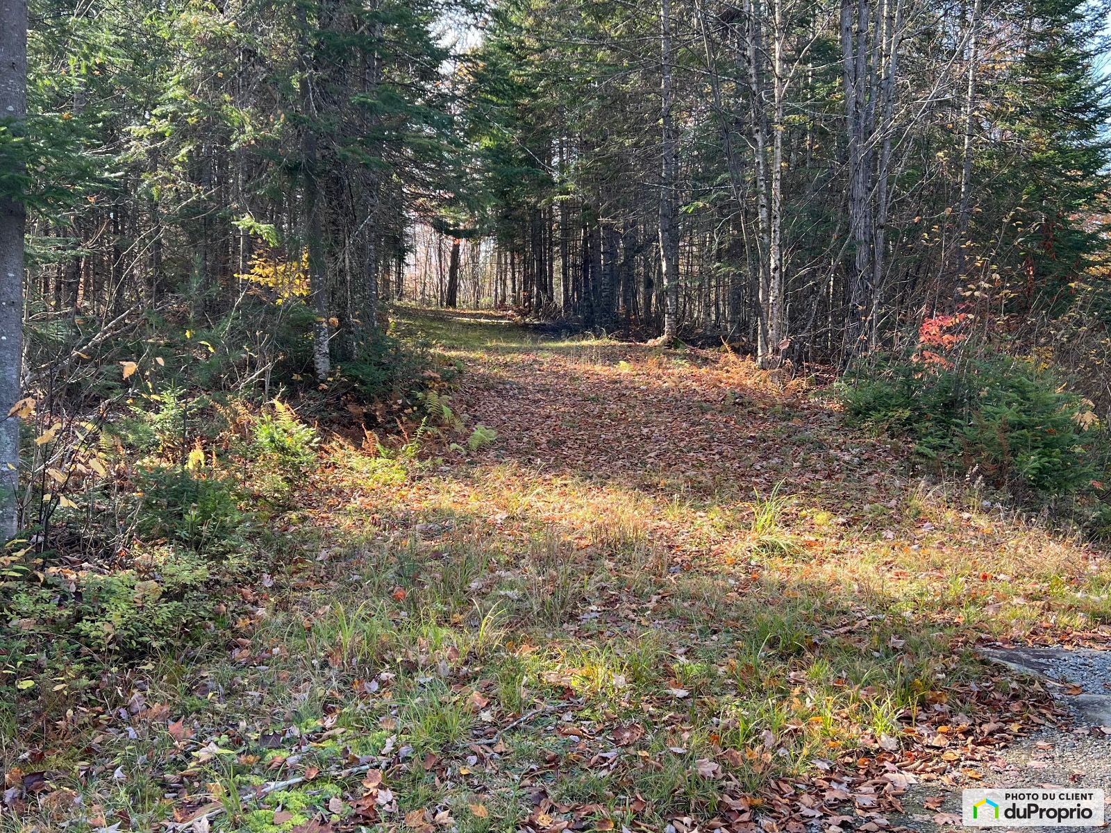 Chemin Du Lac Brule — photo 2