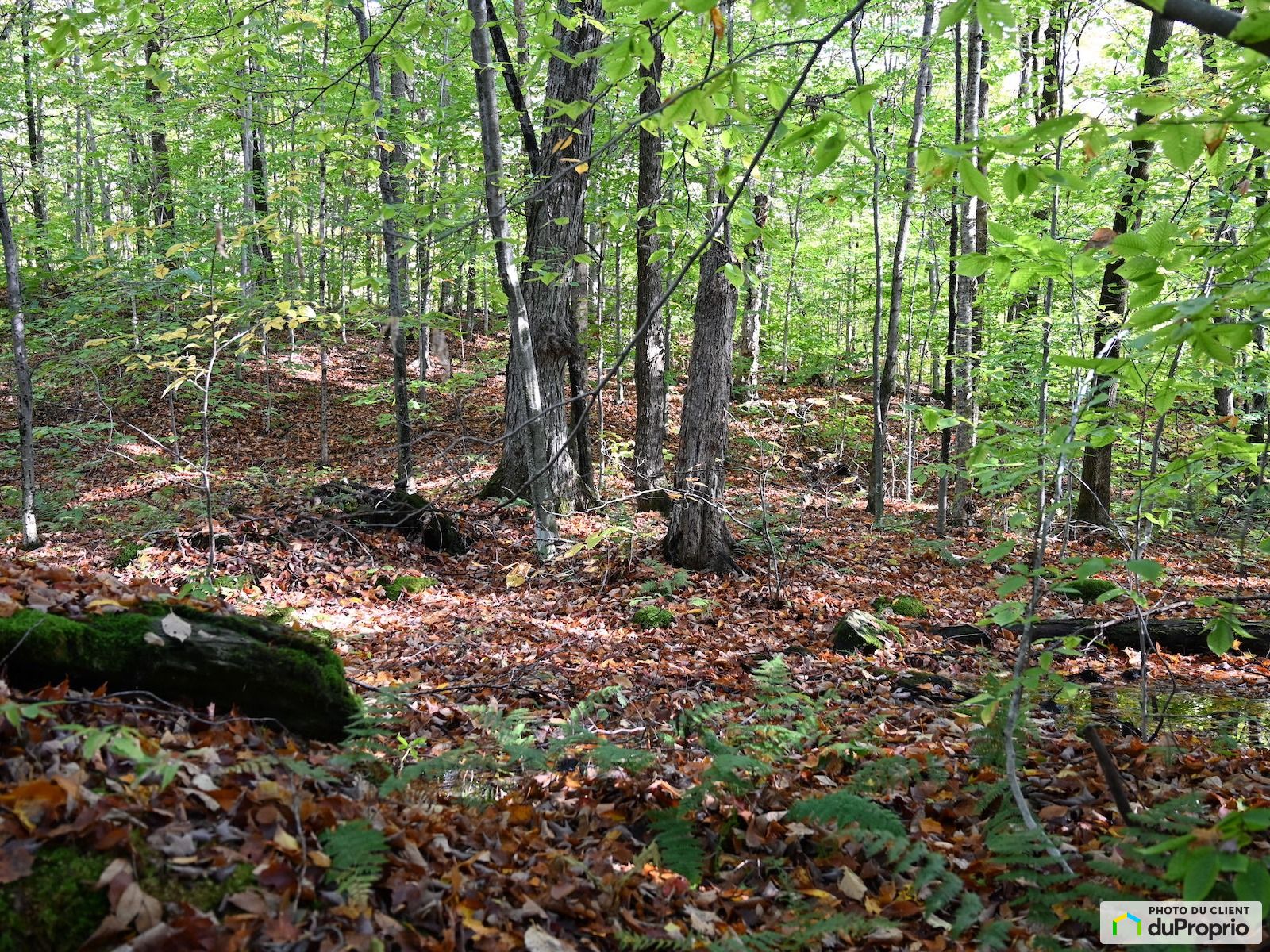 Chemin De La Falaise — photo 2