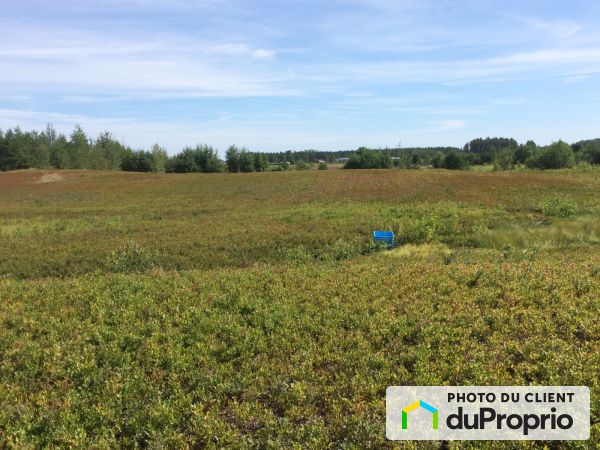  route 169, Albanel for sale