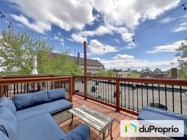 Roof terrace - 2056 rue Dorion, Ville-Marie (Centre-Ville et Vieux-Montréal) for sale