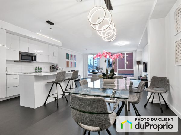Aire ouverte - 310-701, rue Irene, Le Sud-Ouest à vendre