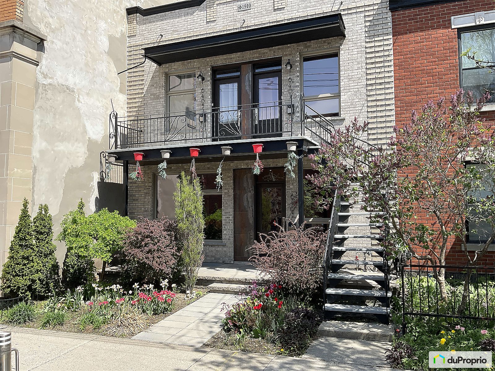 6403 Rue Boyer — photo 1
