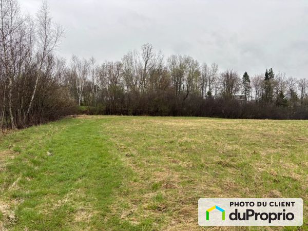 Backyard - rue du Cardinal, Windsor for sale
