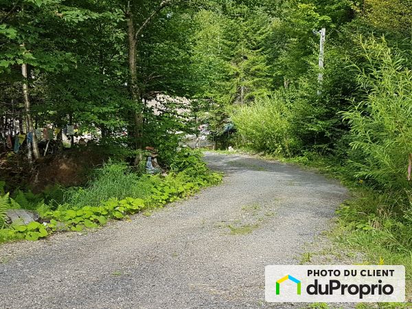 Boisé - 2100, chemin du lac Mulet, Mont-Blanc (St-Faustin-Lac-Carré) à vendre