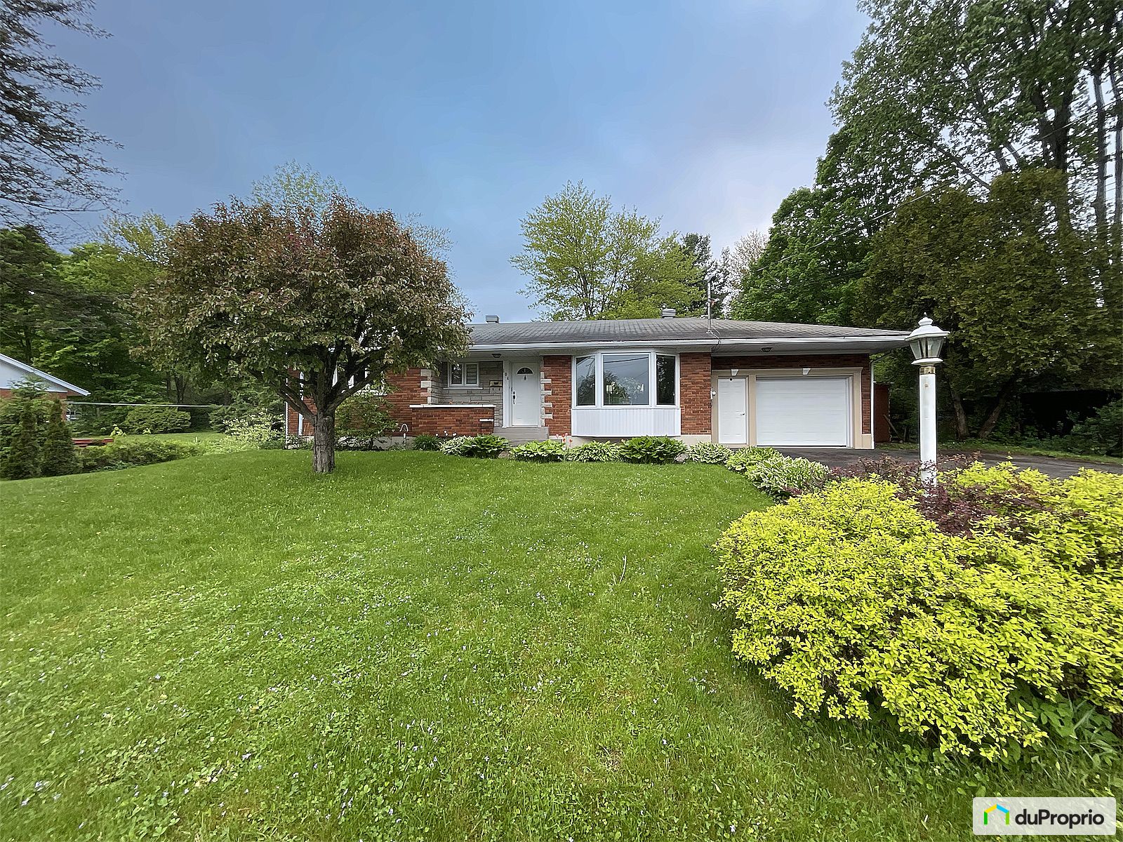 104 Rue Mackinnon — photo 3