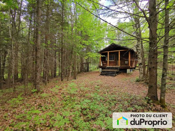 16, chemin Stremski, La Macaza à vendre