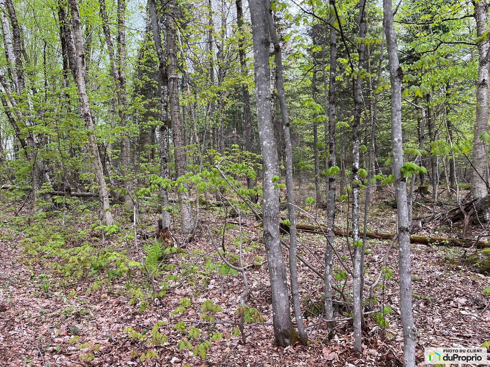 Chemin Du Club Nautique — photo 1