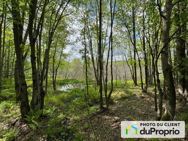 45 rue Hayes, Bromont for sale