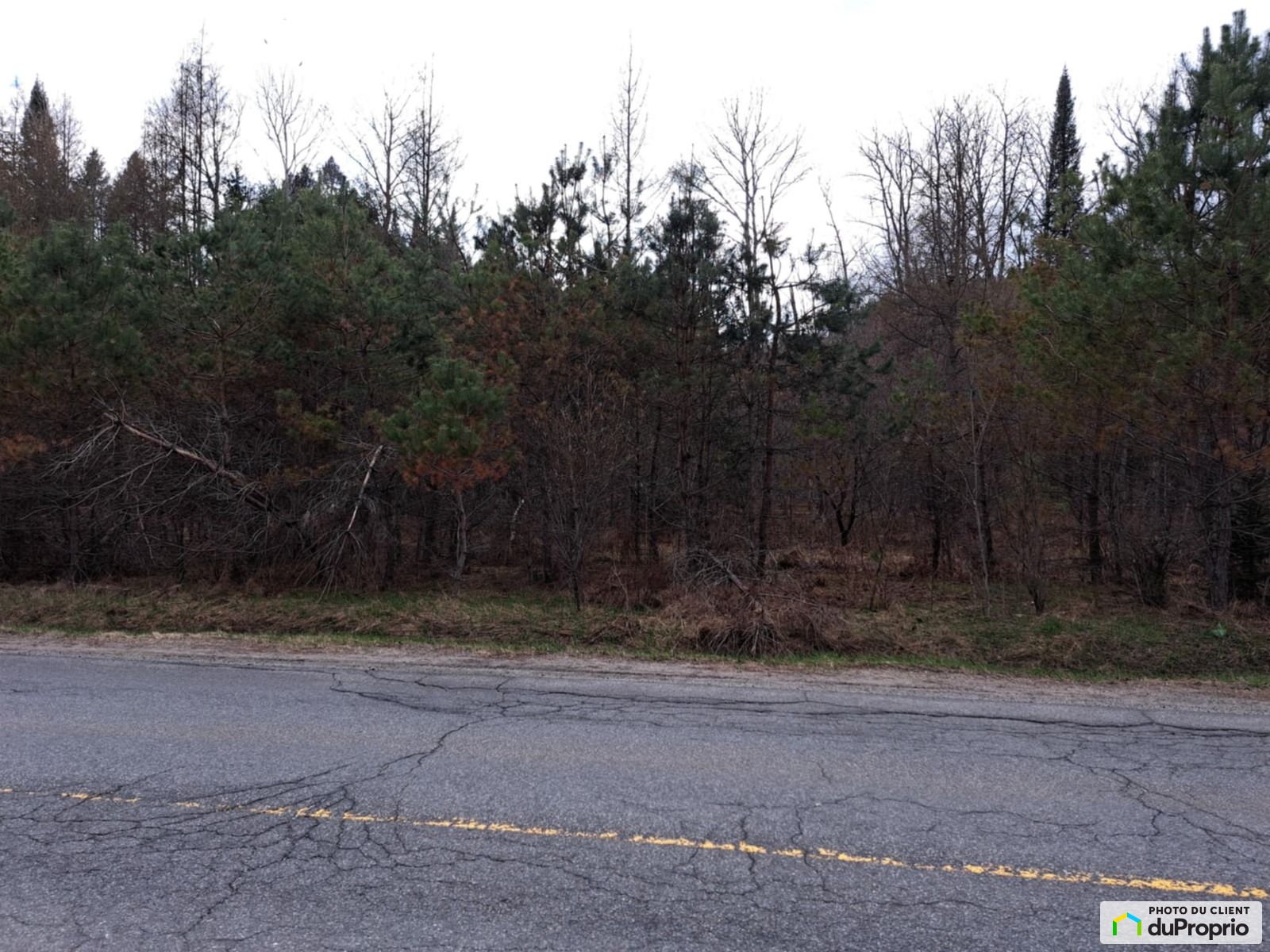 Montee Kavanagh — photo 1