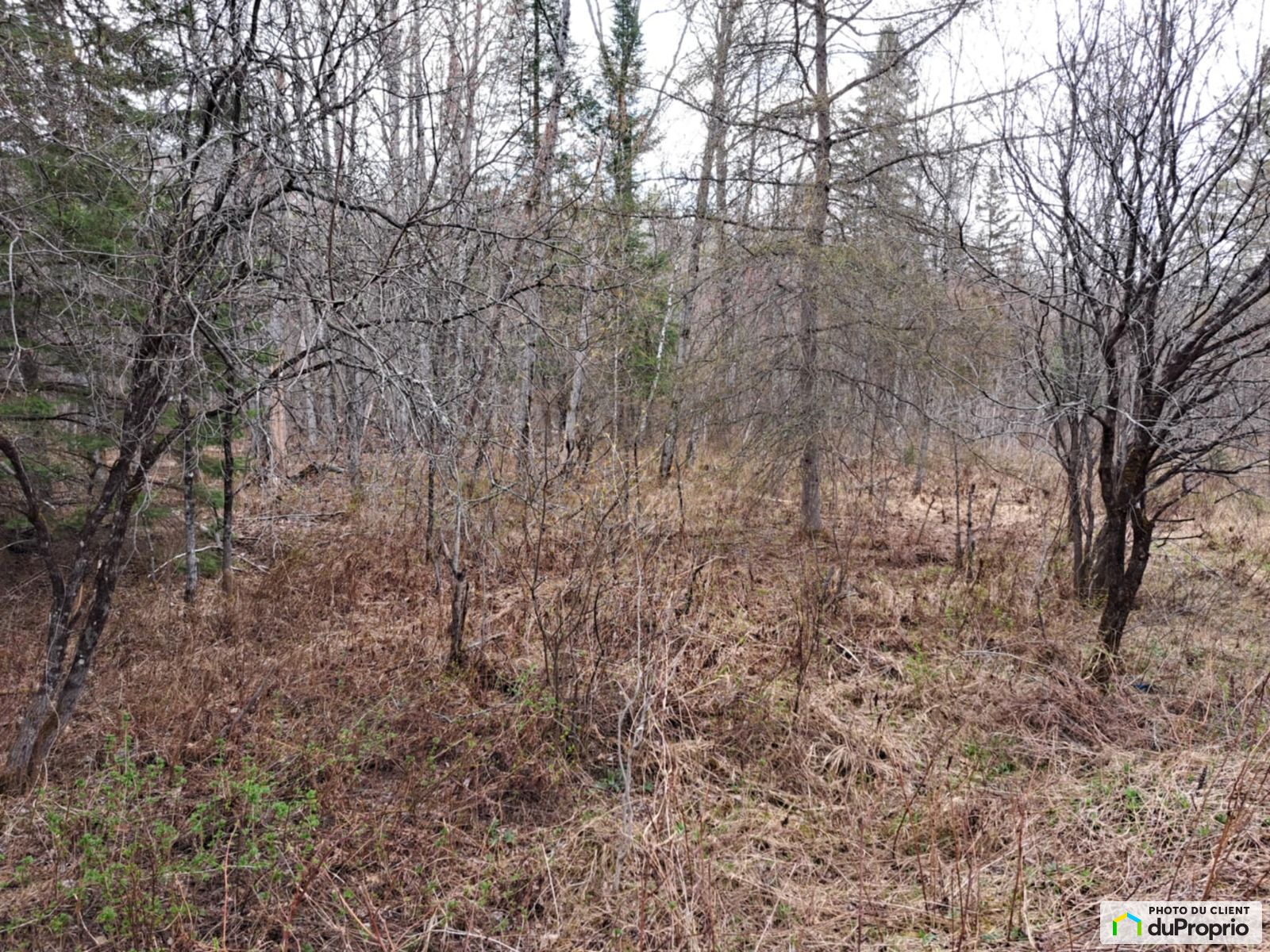 Montee Kavanagh — photo 2
