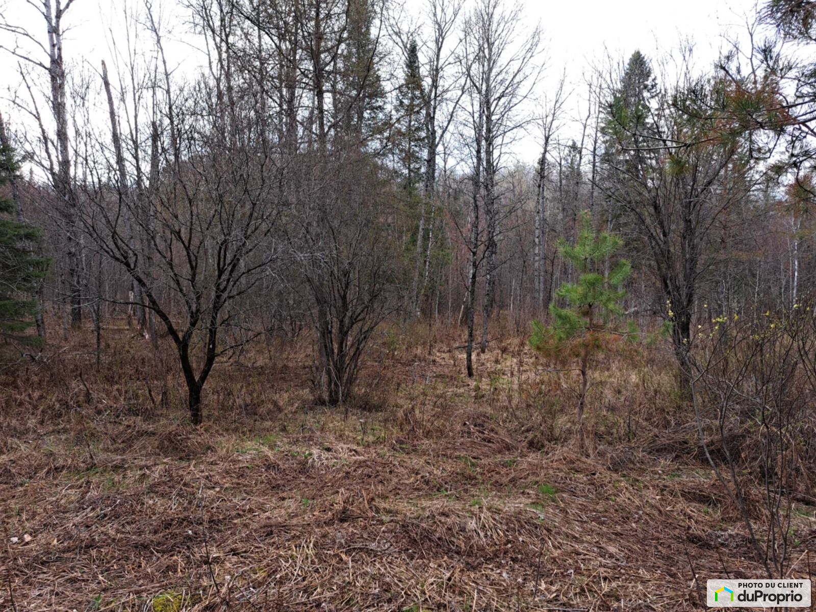 Montee Kavanagh — photo 3