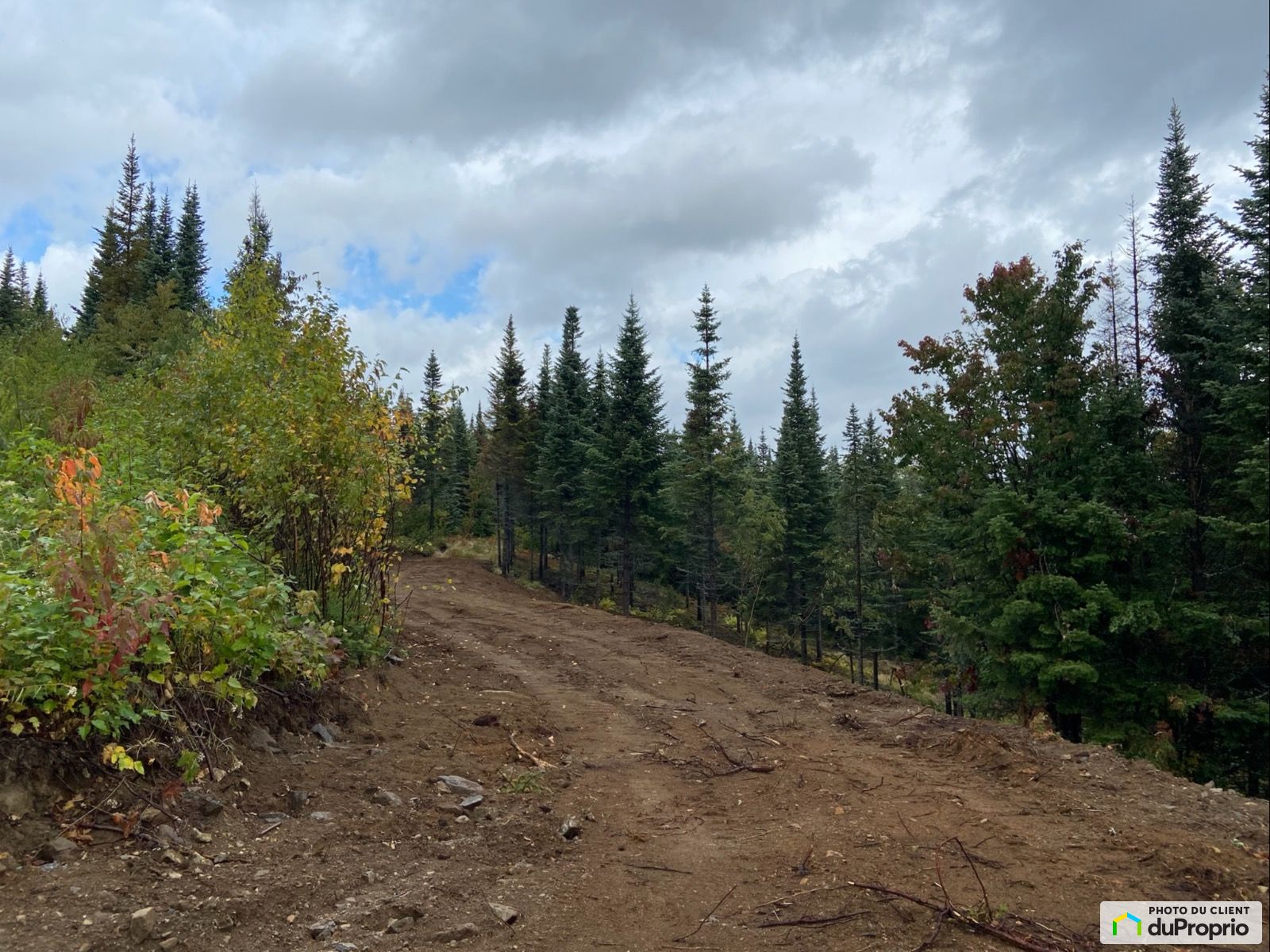 Lot 27 Chemin De Lhorizon Bois — photo 3