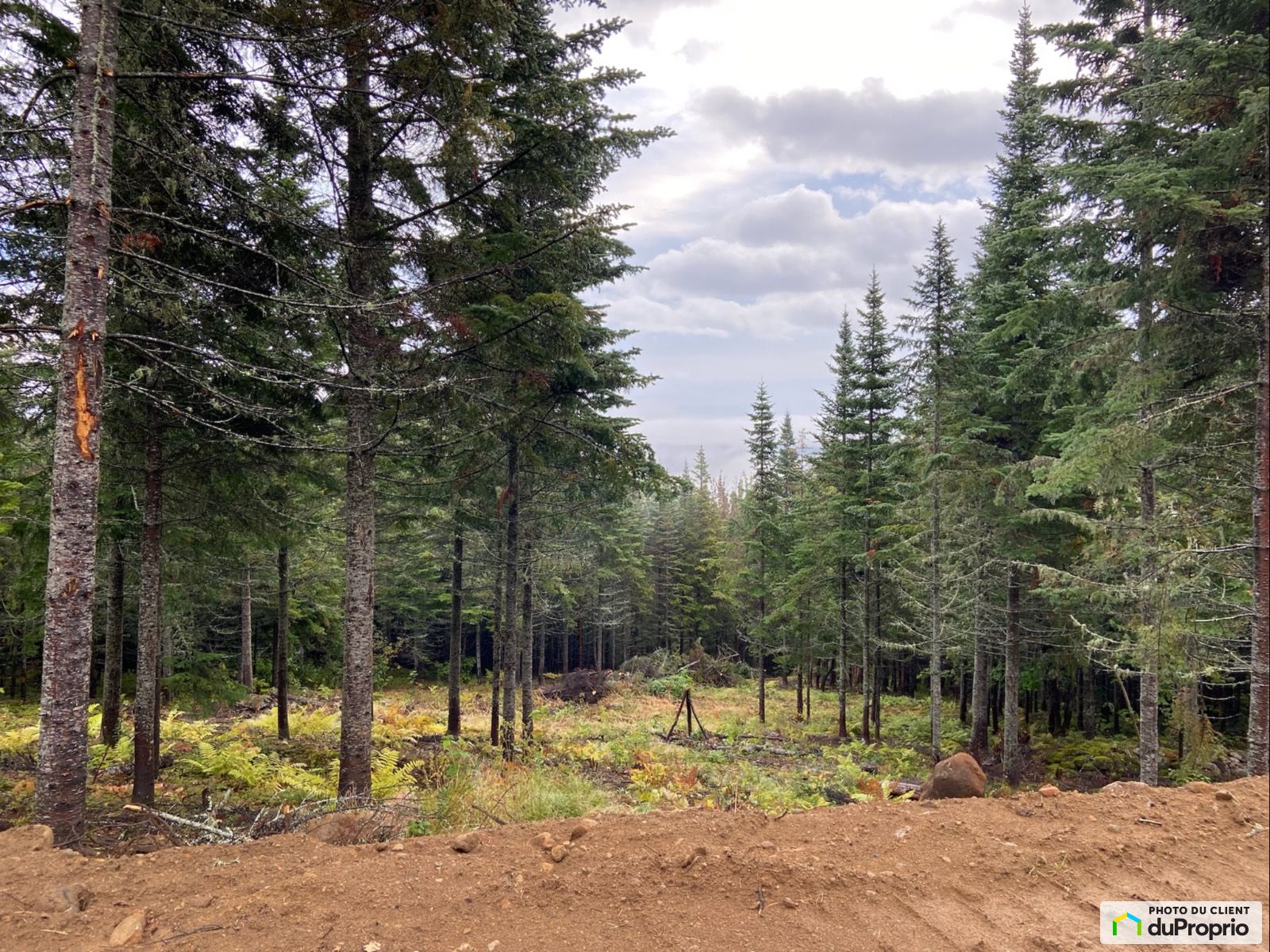 Lot 27 Chemin De Lhorizon Bois — photo 2