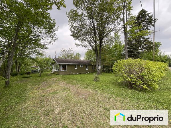193, rue de la Loutre, St-Ferréol-les-Neiges à vendre