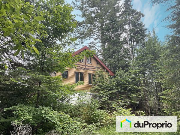420 chemin du Lac-Cornu, St-Adolphe-D&#39;Howard for sale