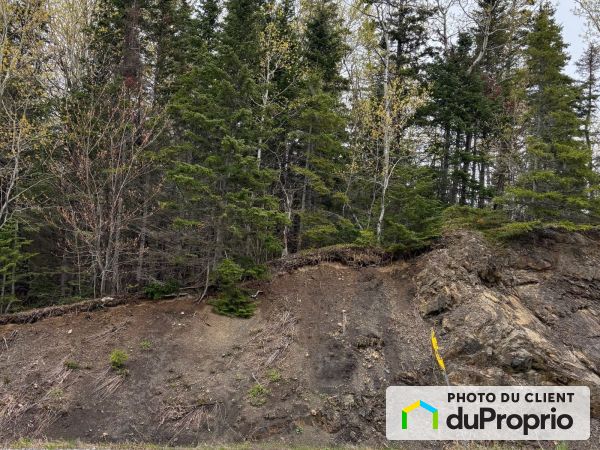 , route Lavoie, Ste-Anne-Des-Monts à vendre
