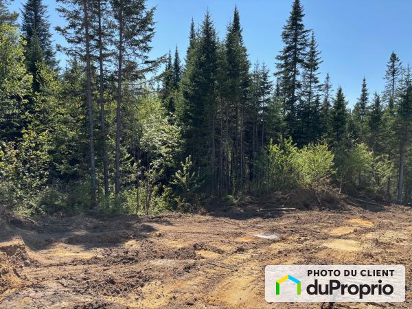 448, allée Sir Richard, Shannon à vendre