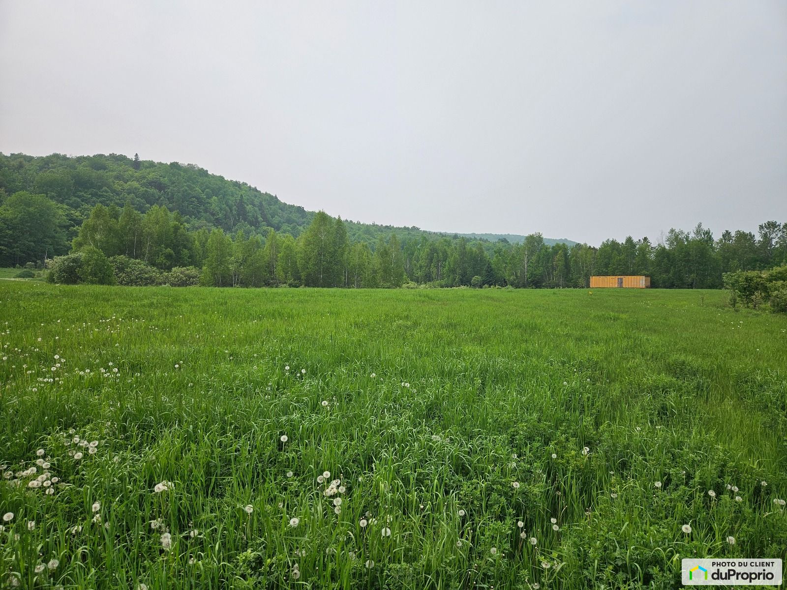 4490 Chemin Du Parc National — photo 1