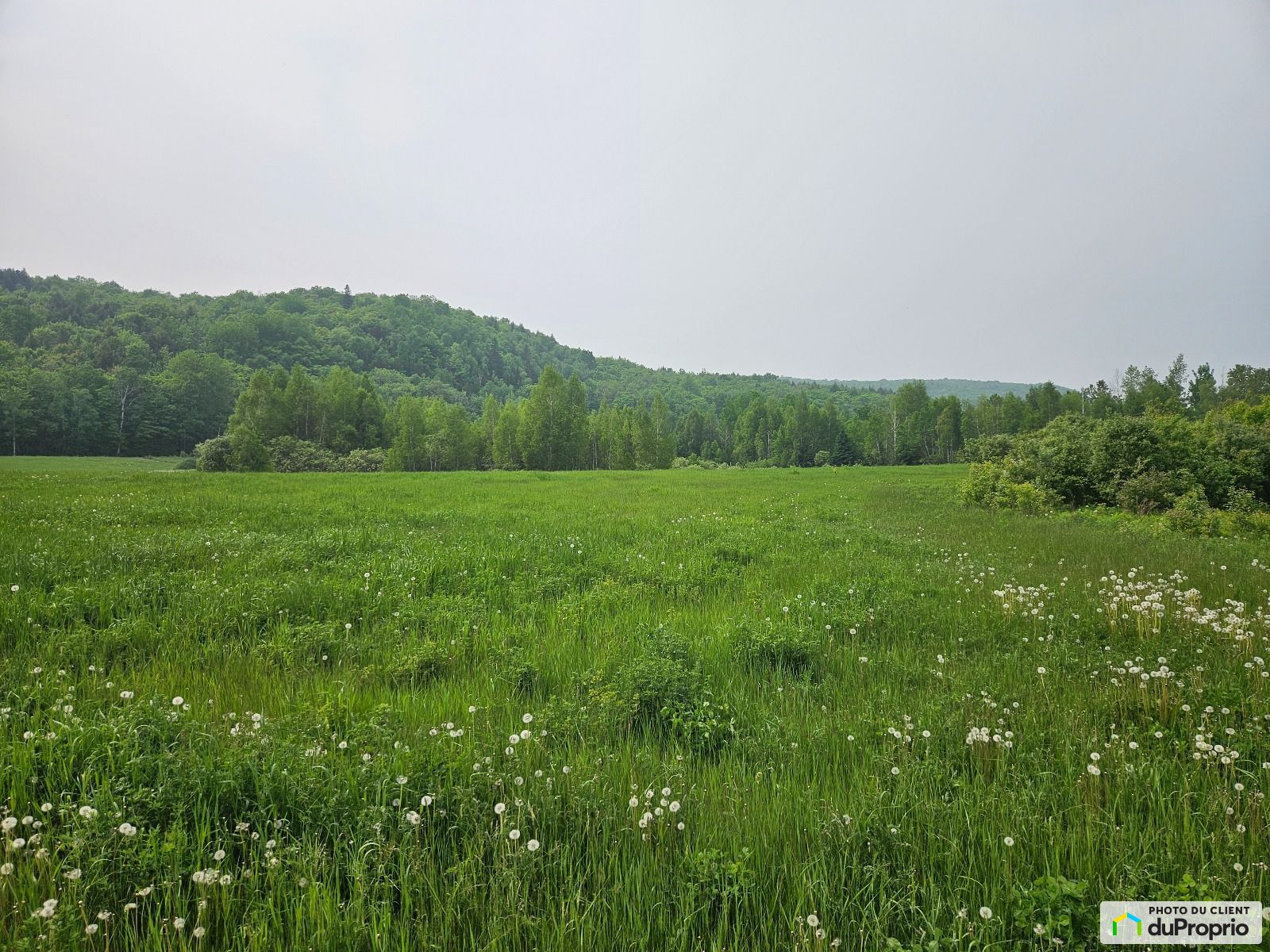 4490 Chemin Du Parc National — photo 2