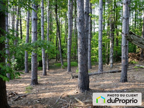 Woods - rue Maple, Sutton for sale