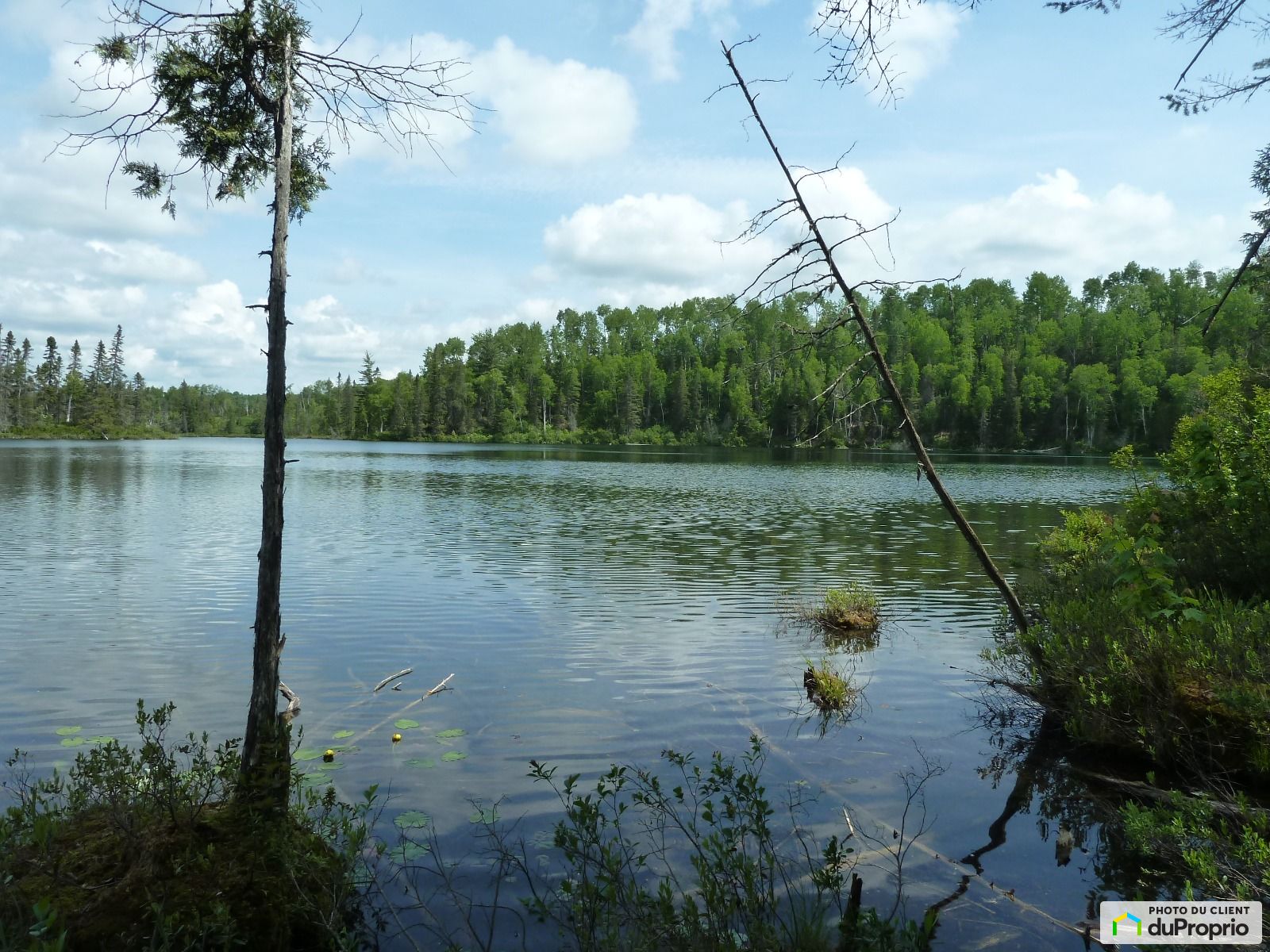 Chemin Du Barrage — photo 1