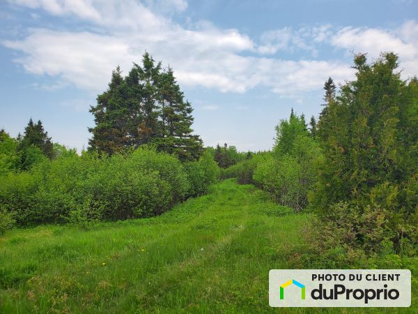 1156, route 132 Est, Percé à vendre
