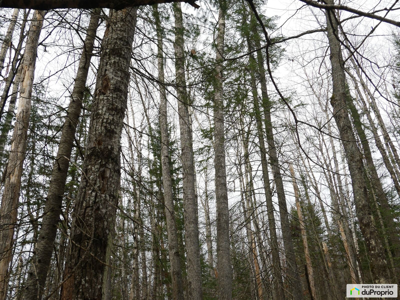Chemin Du Parc — photo 3