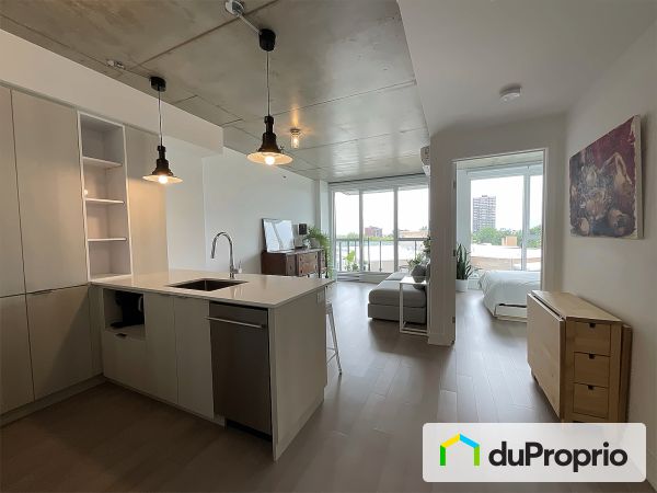Aire ouverte - 607-4599, avenue Clanranald, Côte-des-Neiges / Notre-Dame-de-Grâce à vendre