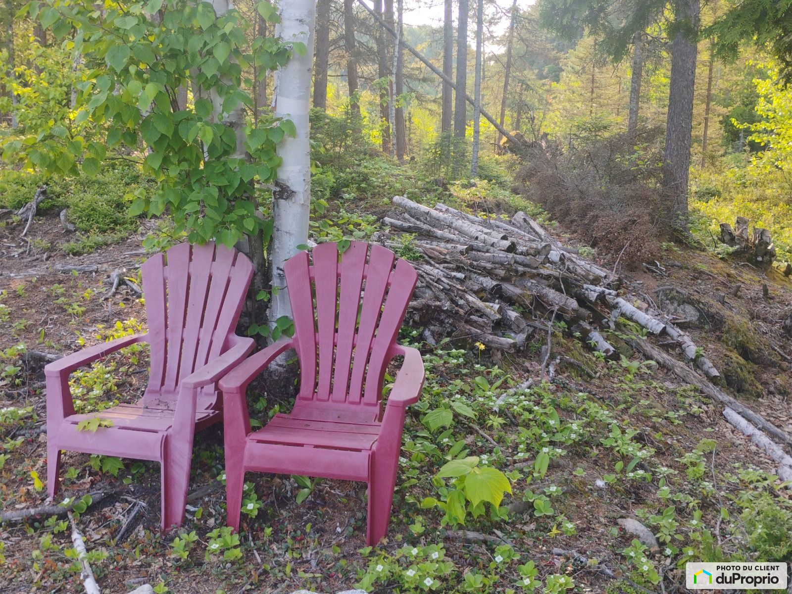 1561 Chemin Du Hameau Du Cap B — photo 3