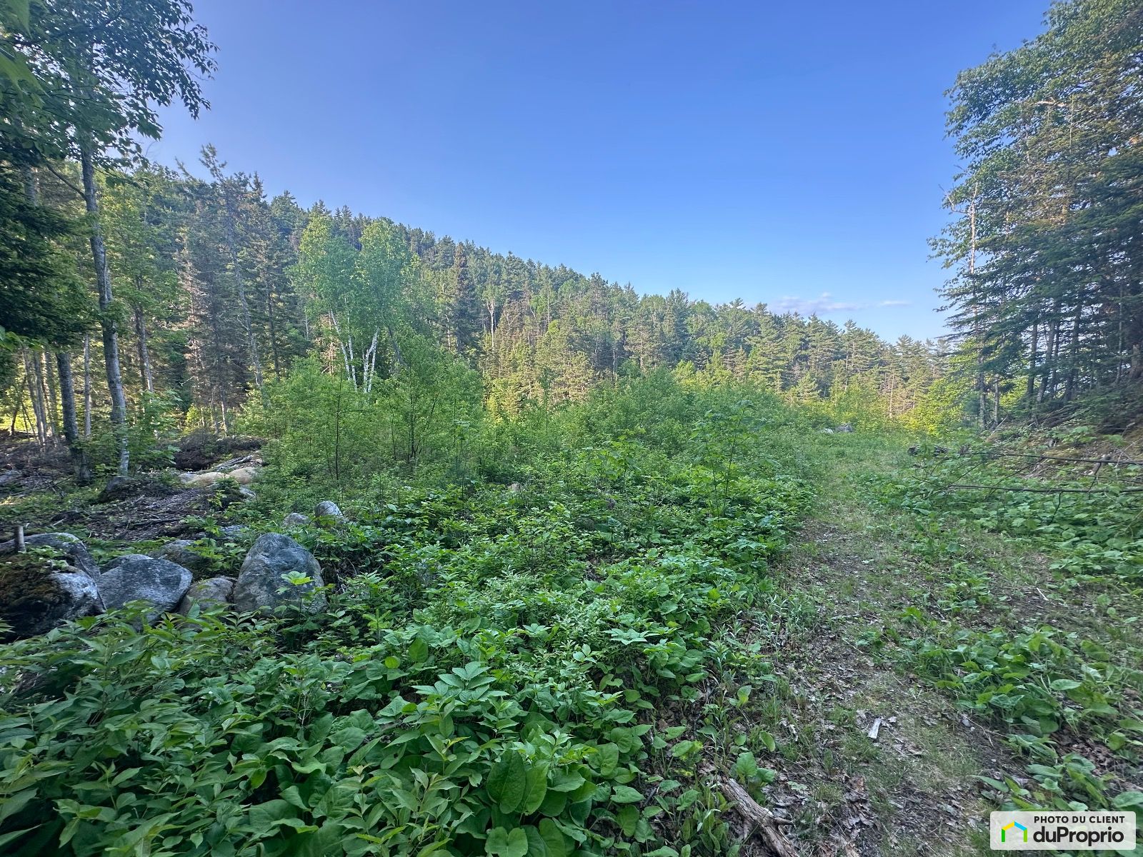 1561 Chemin Du Hameau Du Cap B — photo 2