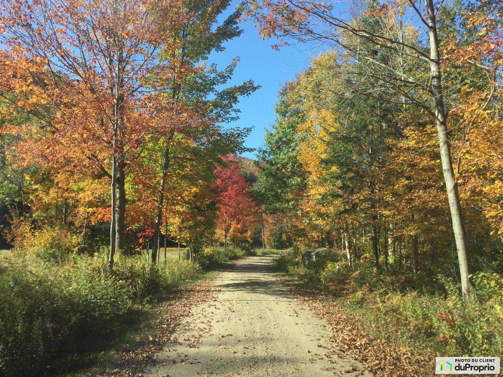 Chemin Alarie — photo 1