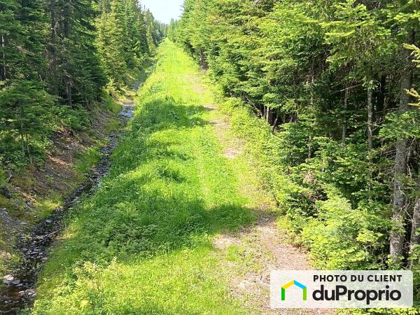 332, 3e-et-4e rang est, St-Cyprien à vendre
