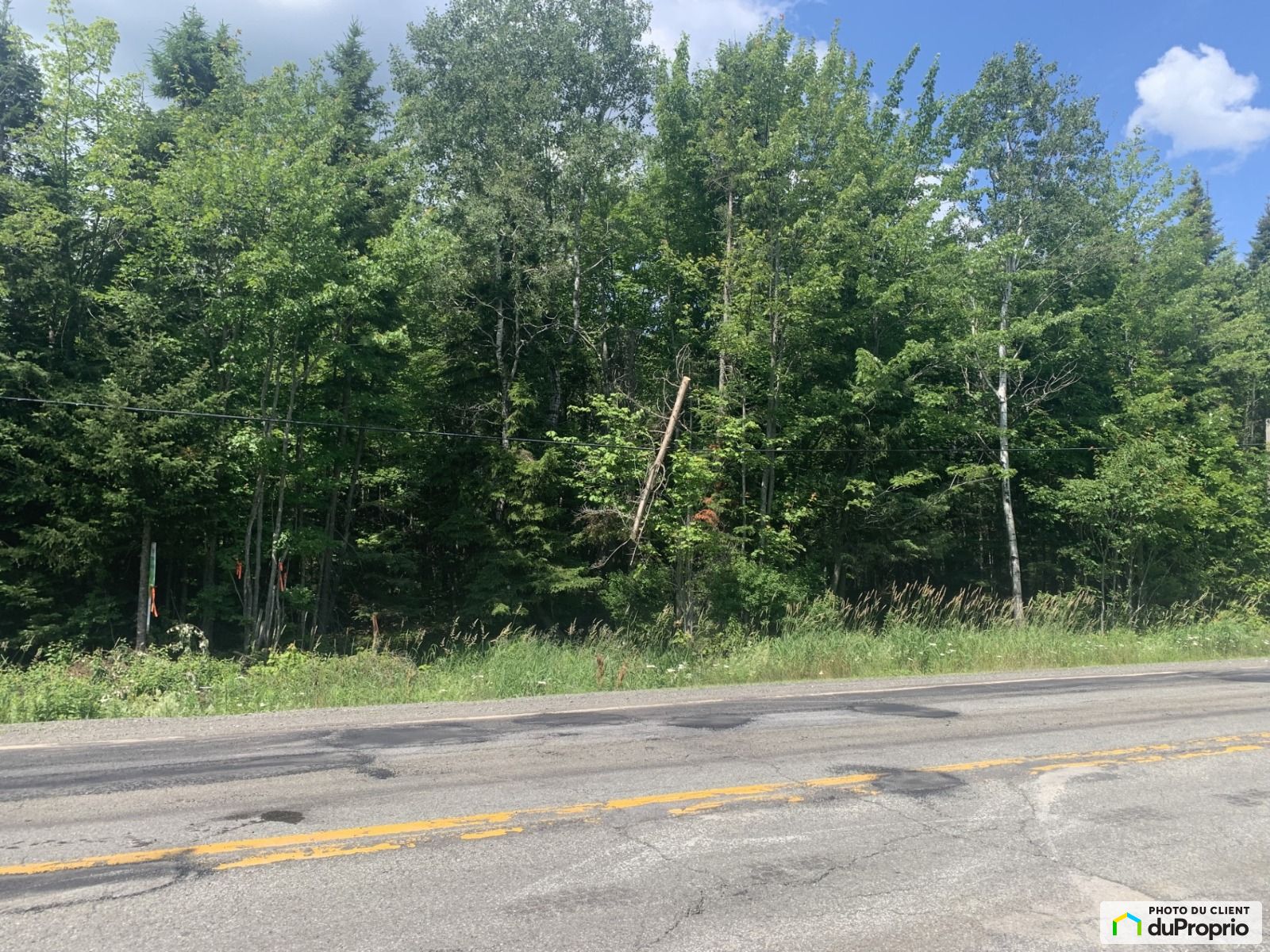 Route 289 — photo 2