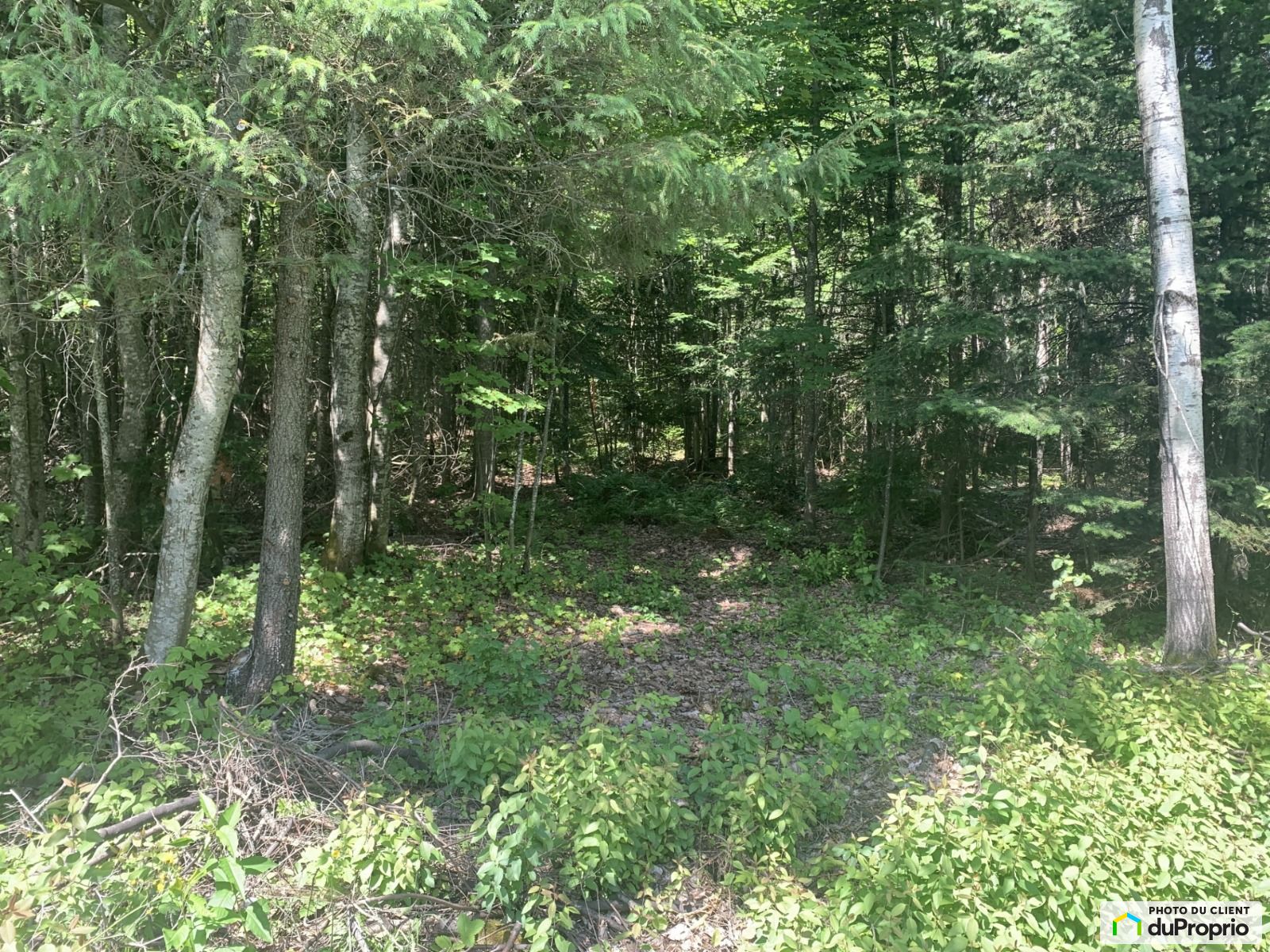 Route 289 — photo 3