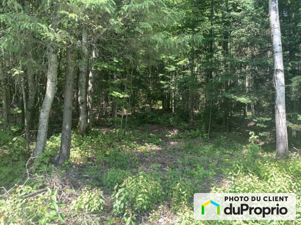 Route 289, St-Alexandre-De-Kamouraska à vendre