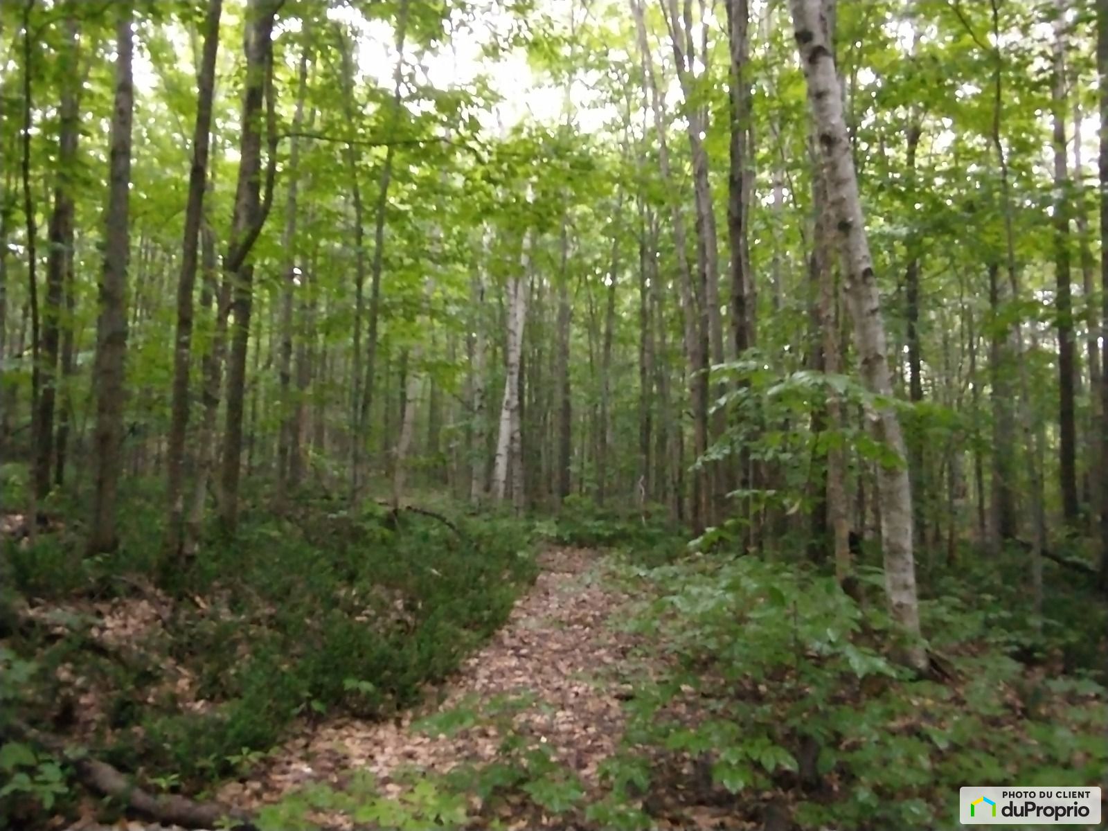 Grand Rang Ste Catherine — photo 2