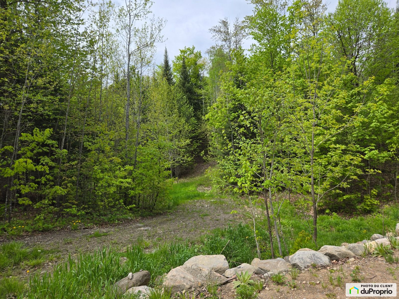 Chemin Bellevue — photo 2